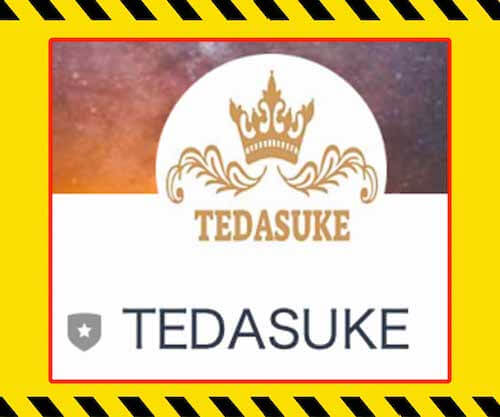 副業 | TEDASUKE(テダスケ) 内容