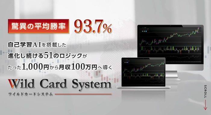 仮想通貨系YouTuber | 「政岡吉宗(まさおかよしむね)」 ワイルドカードシステム(Wild Card  System)を調査！
